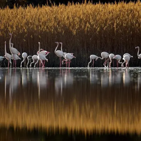 Magical View 2 Asproneri, Apartment *