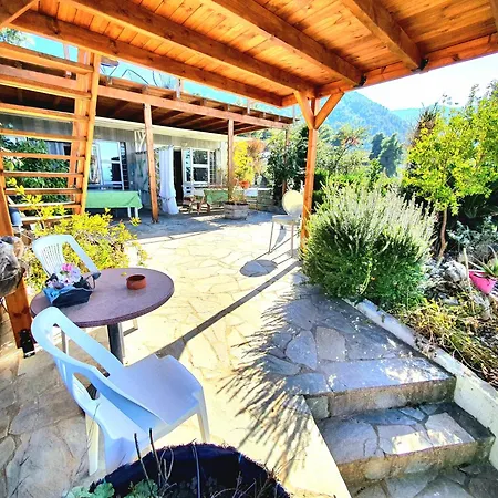 Magical View 2 Asproneri,